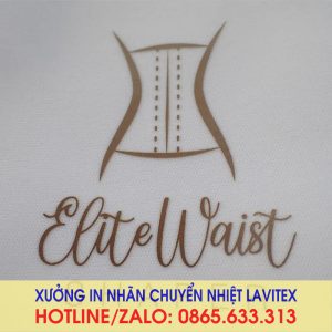 Nhãn in chuyển nhiệt vàng, ánh kim